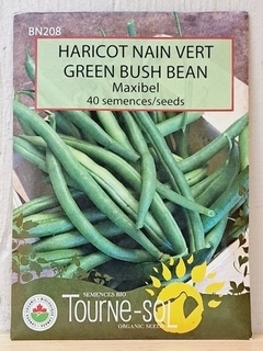 SEEDS - Beans Green Bush - Maxibel (Tourne-sol)